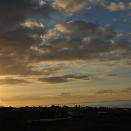 Discover The North Of The Island Of Tenerife La Laguna  Bagian luar foto